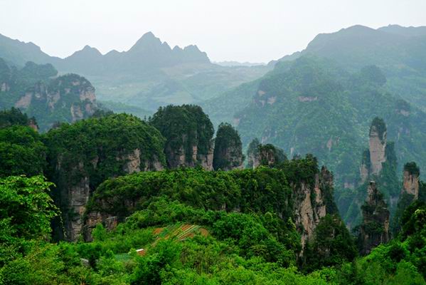Must Have Products when Travel in Zhangjiajie