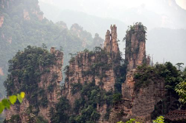 Mount Prince were discovered in the scenic region of Mount Tianzi of Zhangjiajie 