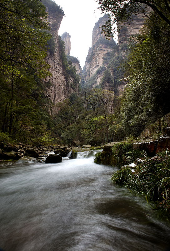 In the scenic regions of Wulingyuan District, tourists are often seen in the Golden Whip Stream which is prevented from the sun by the crowd trees and holds bright waters