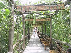 where to eat in Zhangjiajie