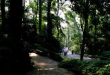 Yuelu Mountain