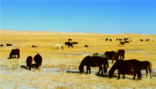 Inner Mongolia to Phuket Direct Flight Launched