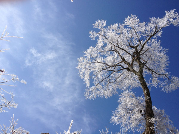 Fantastic Snow Scenery of Zhangjiajie 