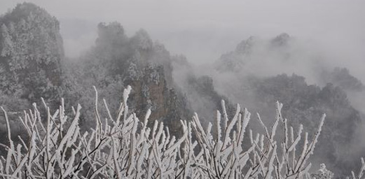 Wulingyuan's Beautiful Snowscape Attracts Tourists