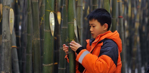 New Year Blessings Tied on “Bamboo Forest” in China’s Changsha