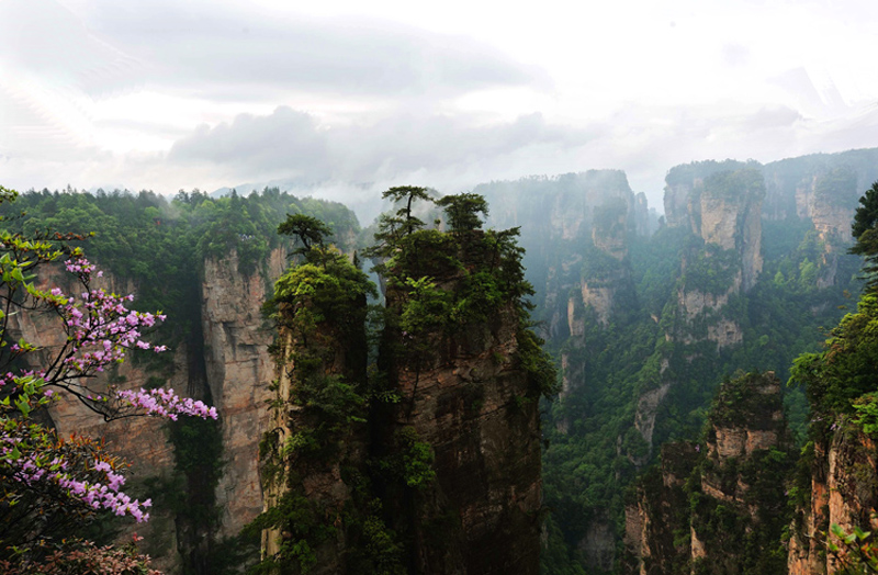 Spring of Zhangjiajie