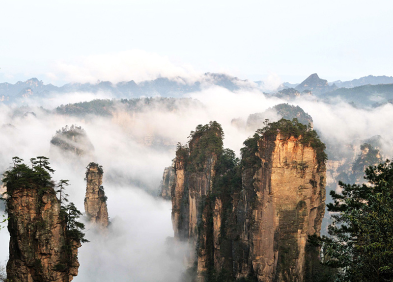 Spring of Zhangjiajie