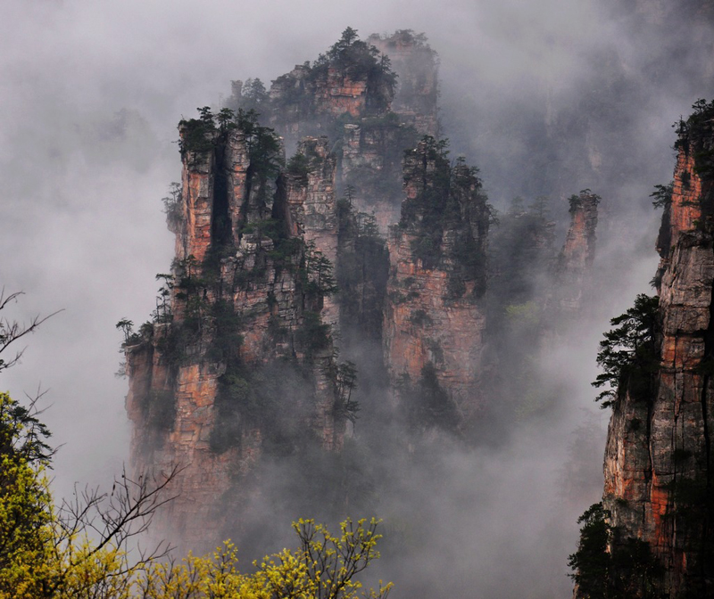 Spring of Zhangjiajie