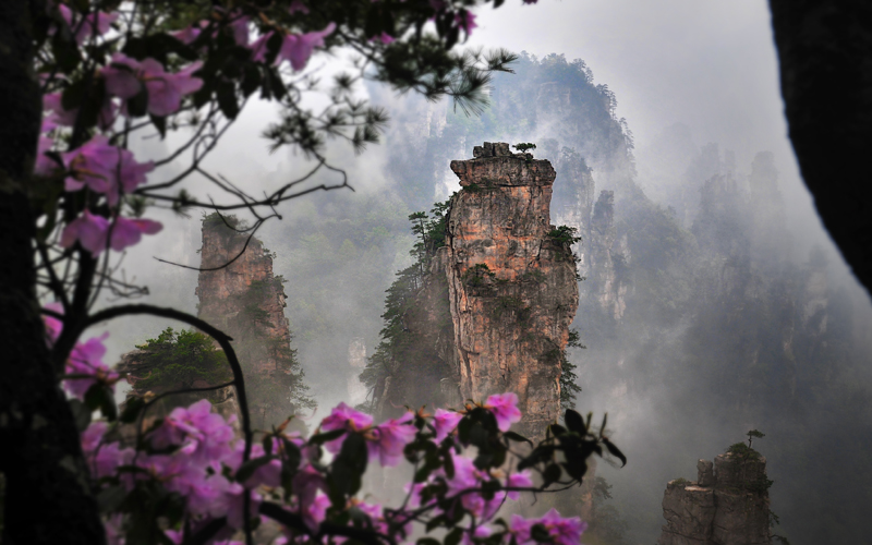 Spring of Zhangjiajie