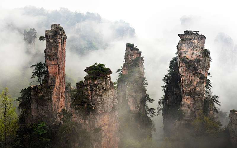 Spring of Zhangjiajie