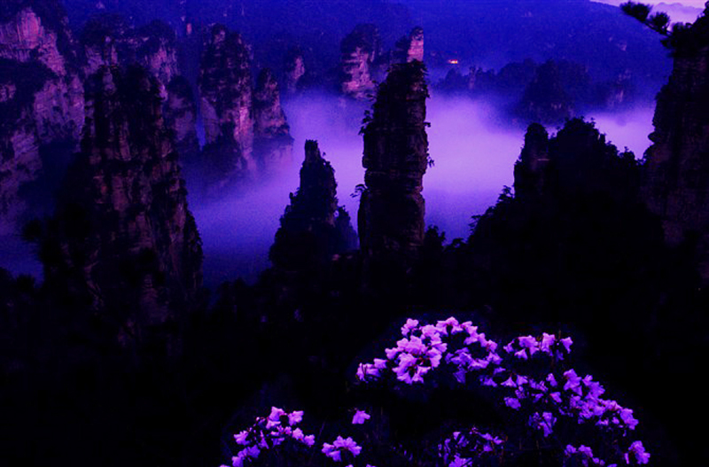 Spring of Zhangjiajie
