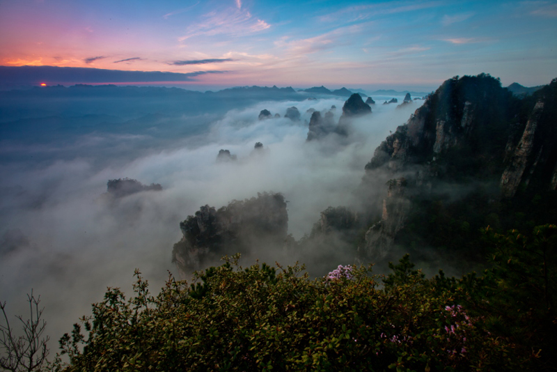 Spring of Zhangjiajie
