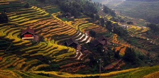 The Release of Top Ten Events on Huxiang Cultural Transmission