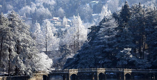 Planting Trees Day: scenery of trees