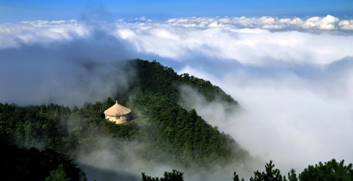 Planting Trees Day: scenery of trees