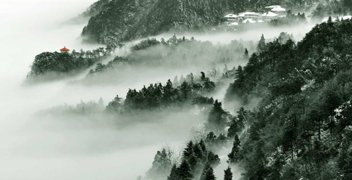 Planting Trees Day: scenery of trees