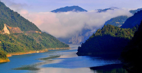 Planting Trees Day: scenery of trees