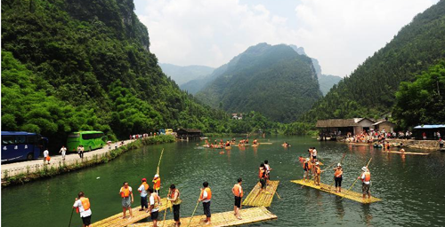 Planting Trees Day: scenery of trees