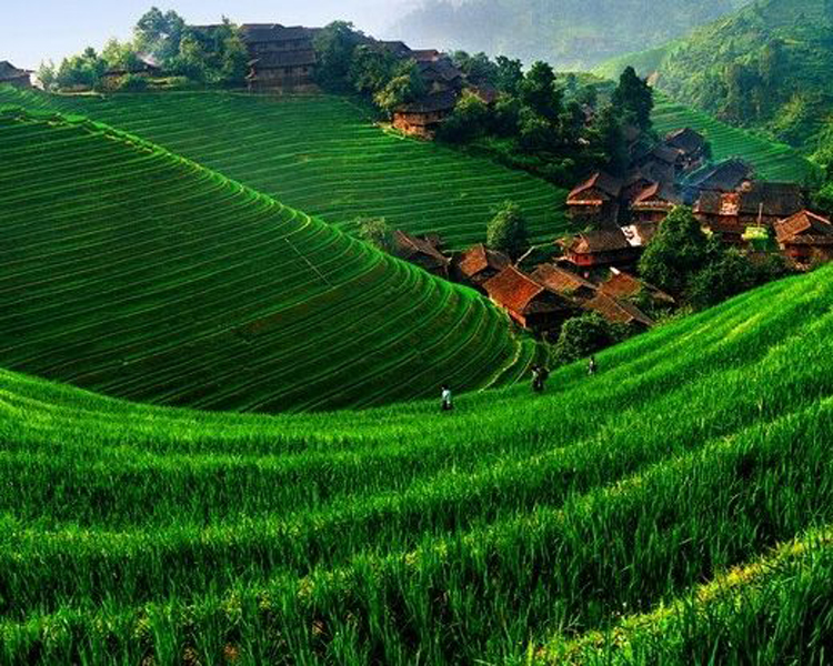 Brife Introduction of Guilin