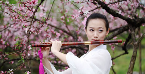 Enjoy Peach Blossom Feast in Zixing