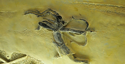 Mawangdui-Archaeological Site in Changsha