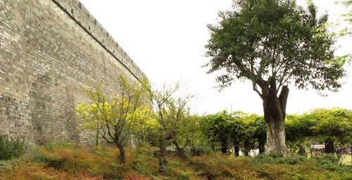 Yueyang Tower in China's Hunan