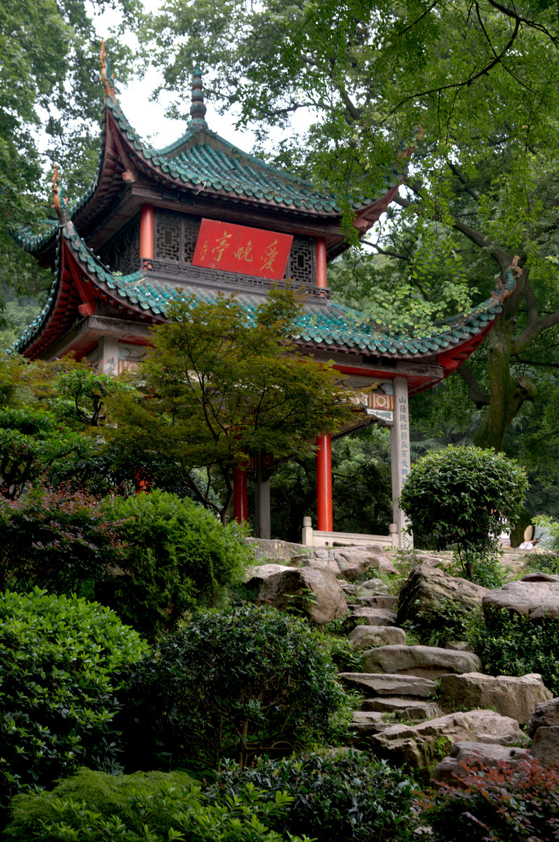 Yuelu District: Proud Recipient of 