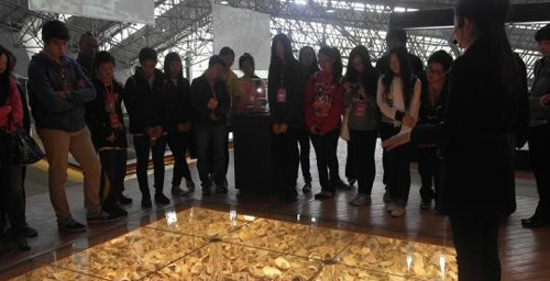 53 Chinese-Australian Teenagers Experience Chinese Culture in Hunan