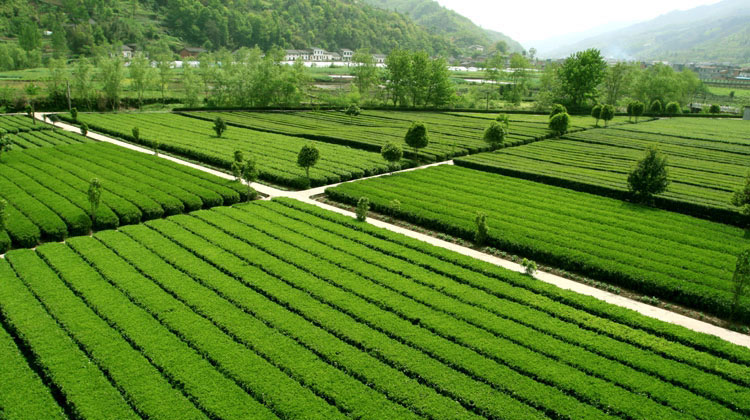 Photo shows the view taken in Longtou Village, Pingli County in northwest China