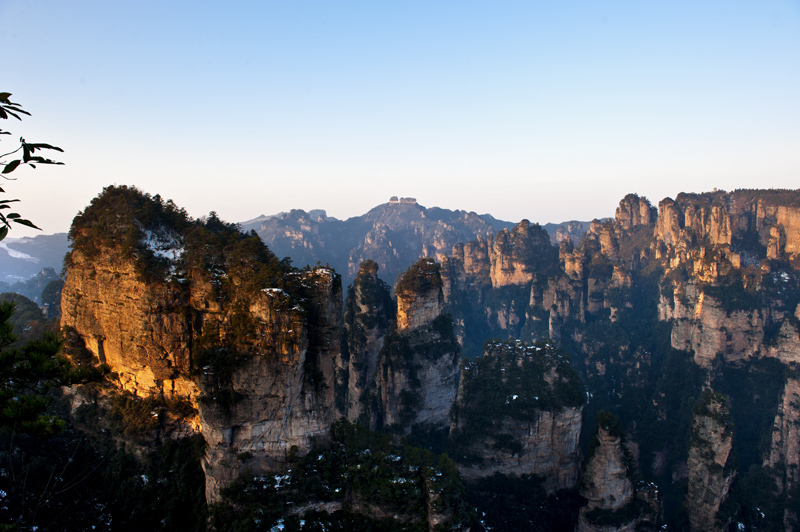 The top 10 enchanting forests on earth