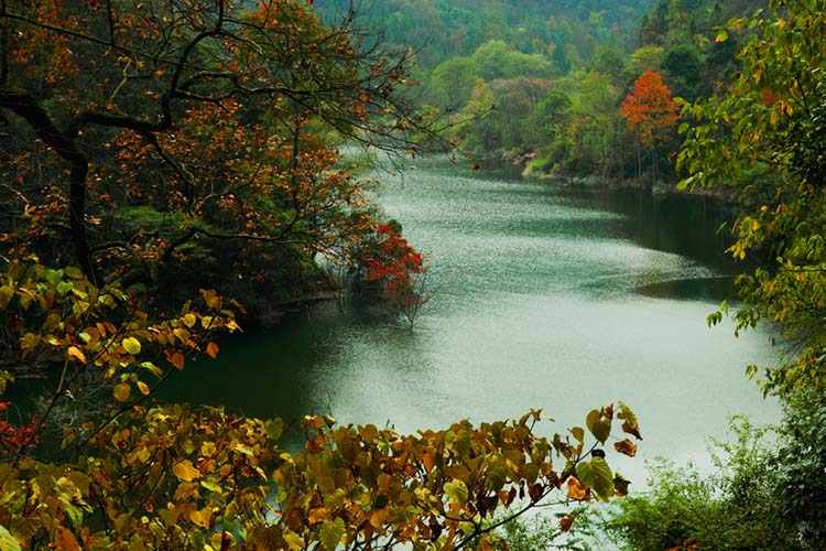 Zhangjiajie Wulingyuan constructs the largest Tourist Center  in China