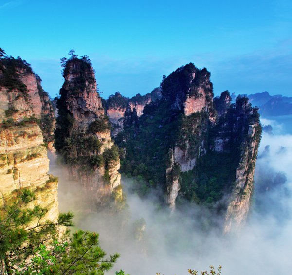 Zhangjiajie National Forest Park on the List of Top 10 Charming Forests