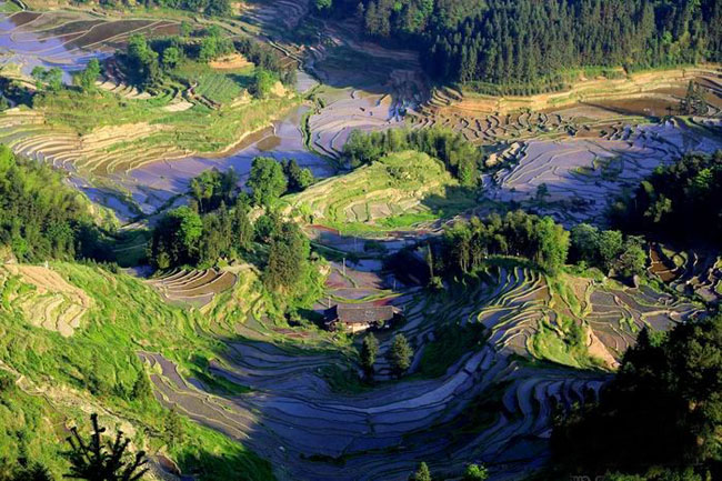 Xinhua County Leads Cultural Tourism in Central Hunan