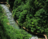 4 Days AVATAR Tour in Zhangjiajie