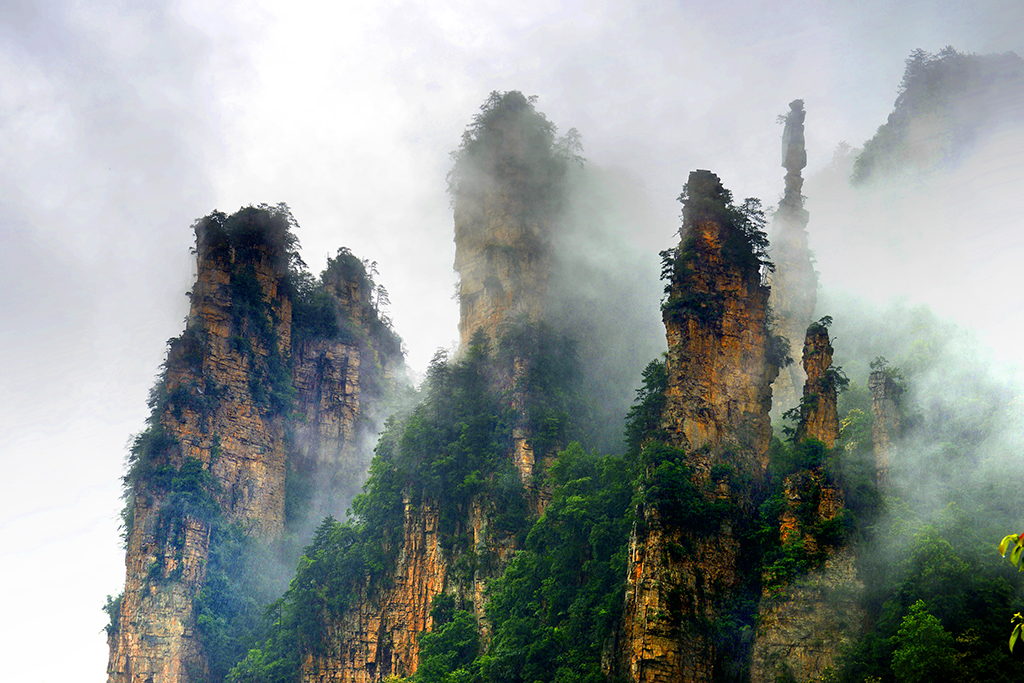 The 2013 China (Zhangjiajie) Forest Protection Festival to Be Held in October