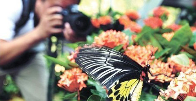 Changsha’s Scenic Spots Hold Activities to Celebrate Mid-Autumn Festival