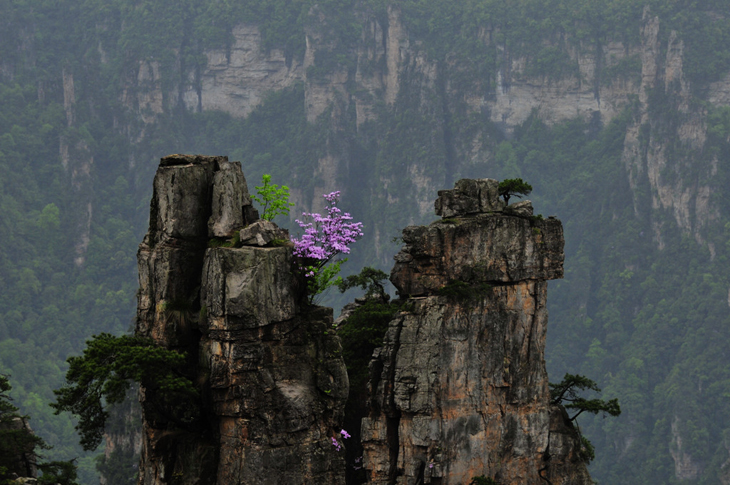 Zhangjiajie Receives Its Largest Overseas Tourist Group Yet