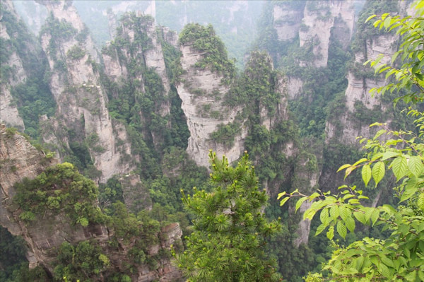 Overall construction plan for Zhangjiajie National Forest City was held
