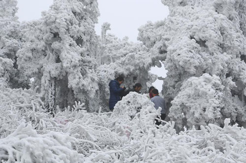 Nanyue Rime Scenery Attracts Many Visitors and Photographers