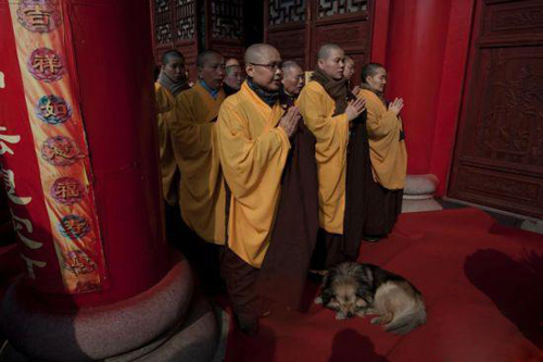 Chinese New Year Blessing Gathering Held in Changsha Kaifu Temple