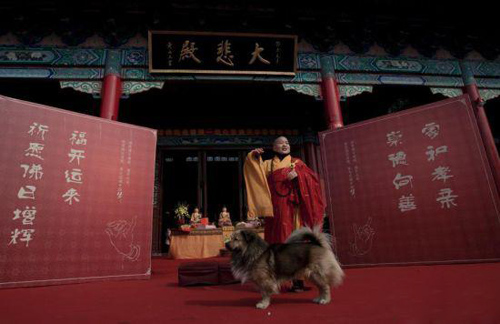 Chinese New Year Blessing Gathering Held in Changsha Kaifu Temple