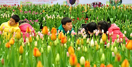 World Famous Flowers Bloom in Hunan Botanical Garden