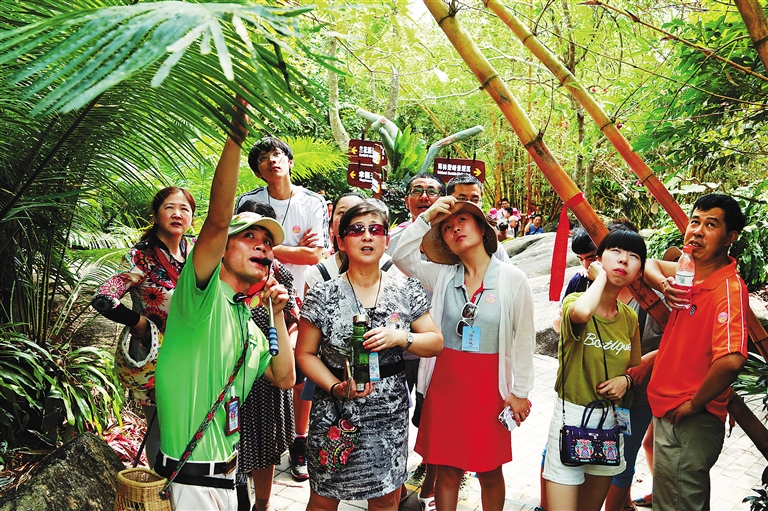 Hunan’s Spring Festival Tourism Revenue Hits 8.2 Bln
