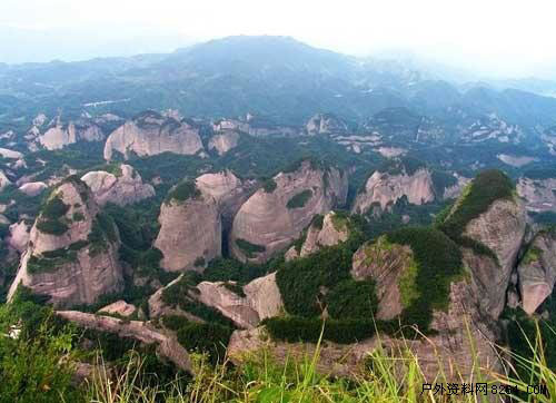 Lanshan Mountain to Hold Pear Blossom Appreciation Activity