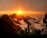 One Day Sunrise Tour in Zhangjiajie National Forest Park