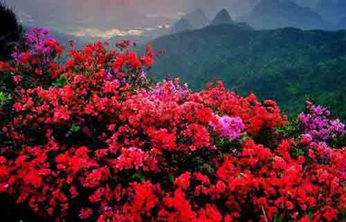 Guilin Yao Mountain