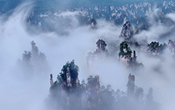 3-Day Popular Leisure Tour in Zhangjiajie