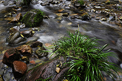 3-Day Popular Leisure Tour in Zhangjiajie