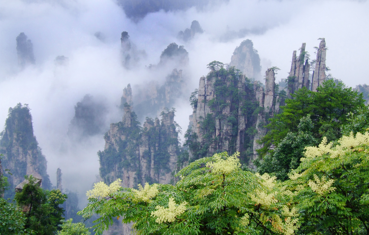 5-Day Happy Tour in Zhangjiajie
