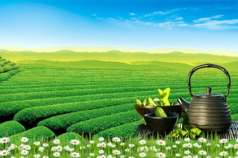 What to Buy in Zhangjiajie